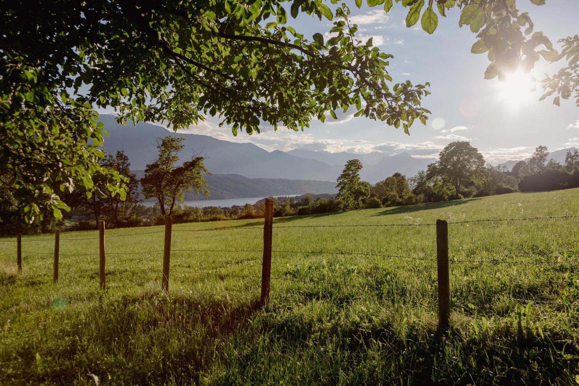 Bio- Und Vitalbauernhof Bacherhof Millstatt am See Zewnętrze zdjęcie